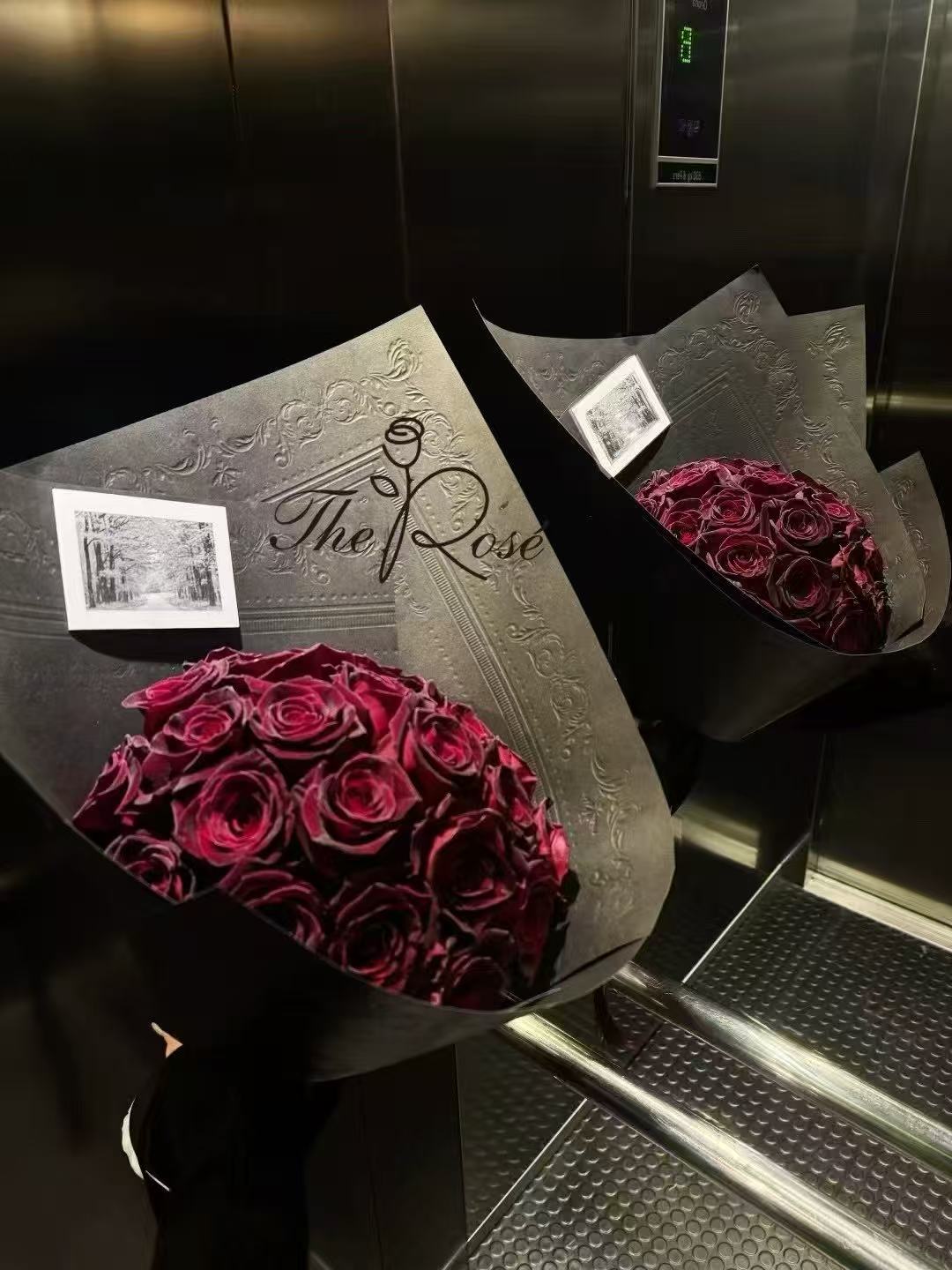 🌹 Rose Collection 「玫瑰合集」
